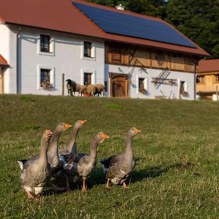 Pri Jazere Lejlighed