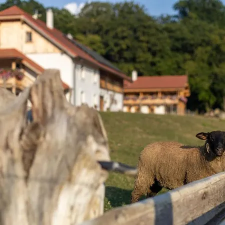 Apartmán Pri Jazere Spissky Stiavnik