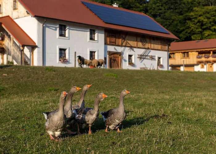 Pri Jazere Apartament