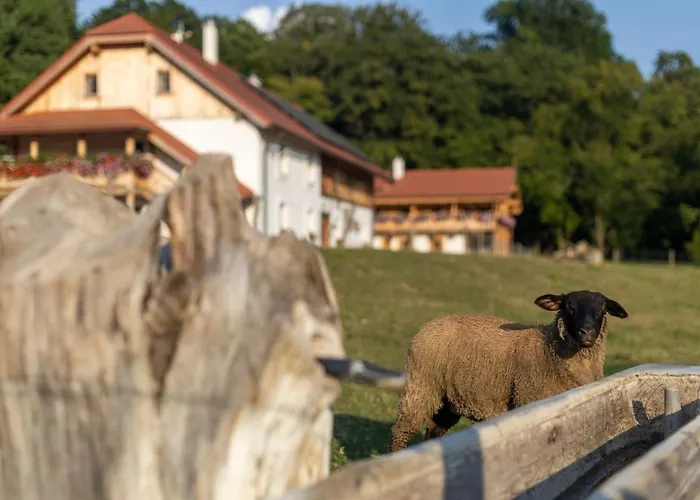 Apartament Pri Jazere Spissky Stiavnik